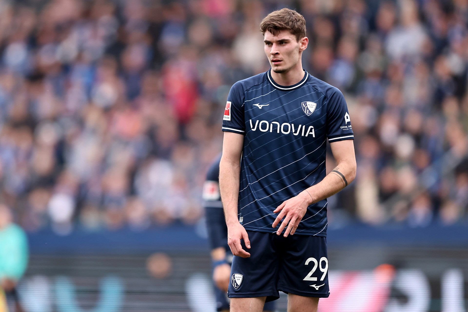 仿佛置身绿 仿佛置身绿