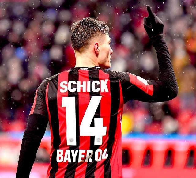 他们选择在 他们选择在